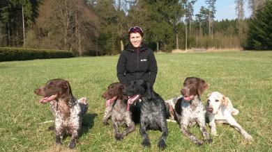 Ako sa po letnej pauze vrátiť k výcviku a výchove psa?