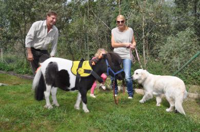 Psy nie sú jediní. Asistovať ľuďom s postihnutím môžu aj kone alebo opice.