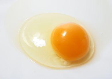 Je vhodné surové vajíčko pre psa?