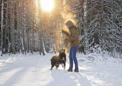 Zimné prechádzky so psom: Na čo si dať pozor a je potrebná špeciálna starostlivosť?