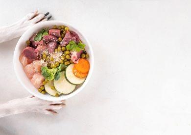 Moderné trendy v psej výžive - BARF vs. granule vs. varená strava