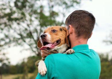 Najvtipnejšie psie povery z rôznych kultúr