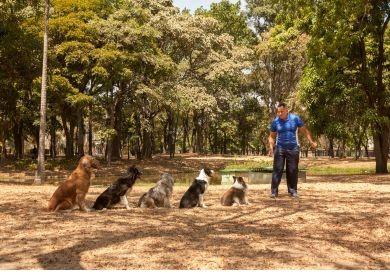 Prečo Vás pes všade sleduje a čo Vám tým hovorí