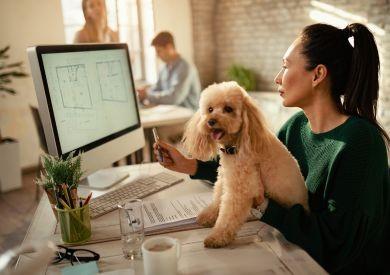 Ako zvládnuť psa v práci a vytvoriť dog-friendly prostredie