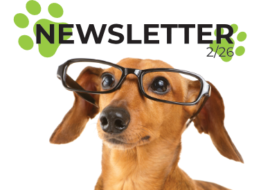 Čo je u nás nové? Newsletter 2/26