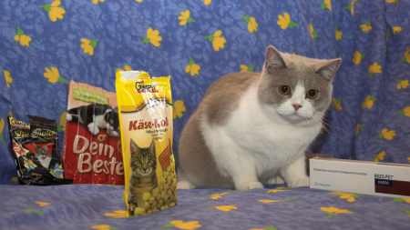 Doplnky mačacie stravy