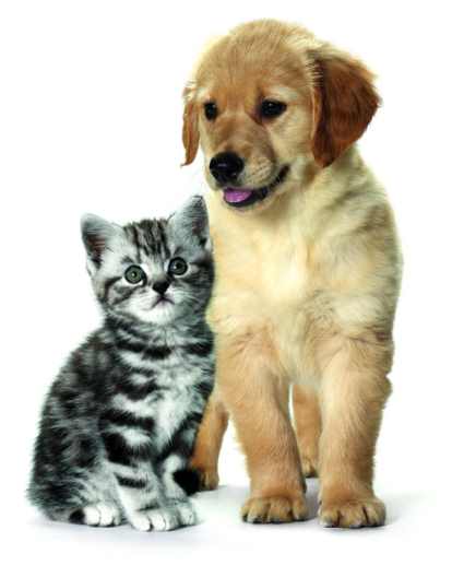 Pre najlepší štart do života