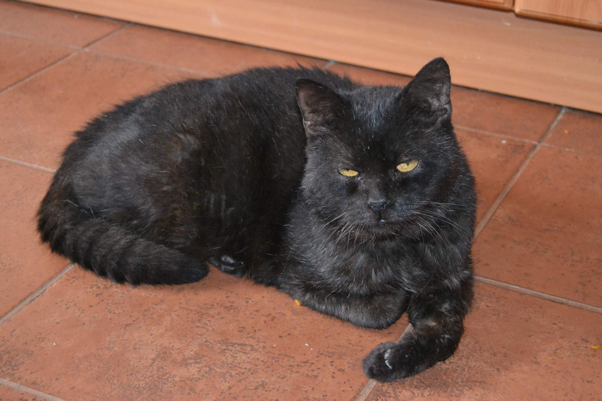 Z blahobytu až na samotné dno - 2.diel