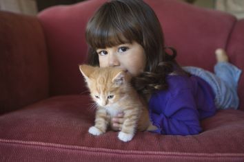 Prevencia pred ektoparazitmi z pohľadu veterinárneho lekára