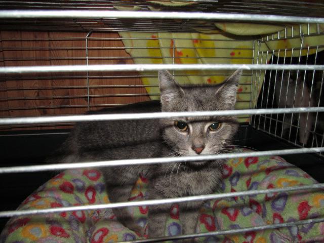 Na krídlach anjelov - 1. diel