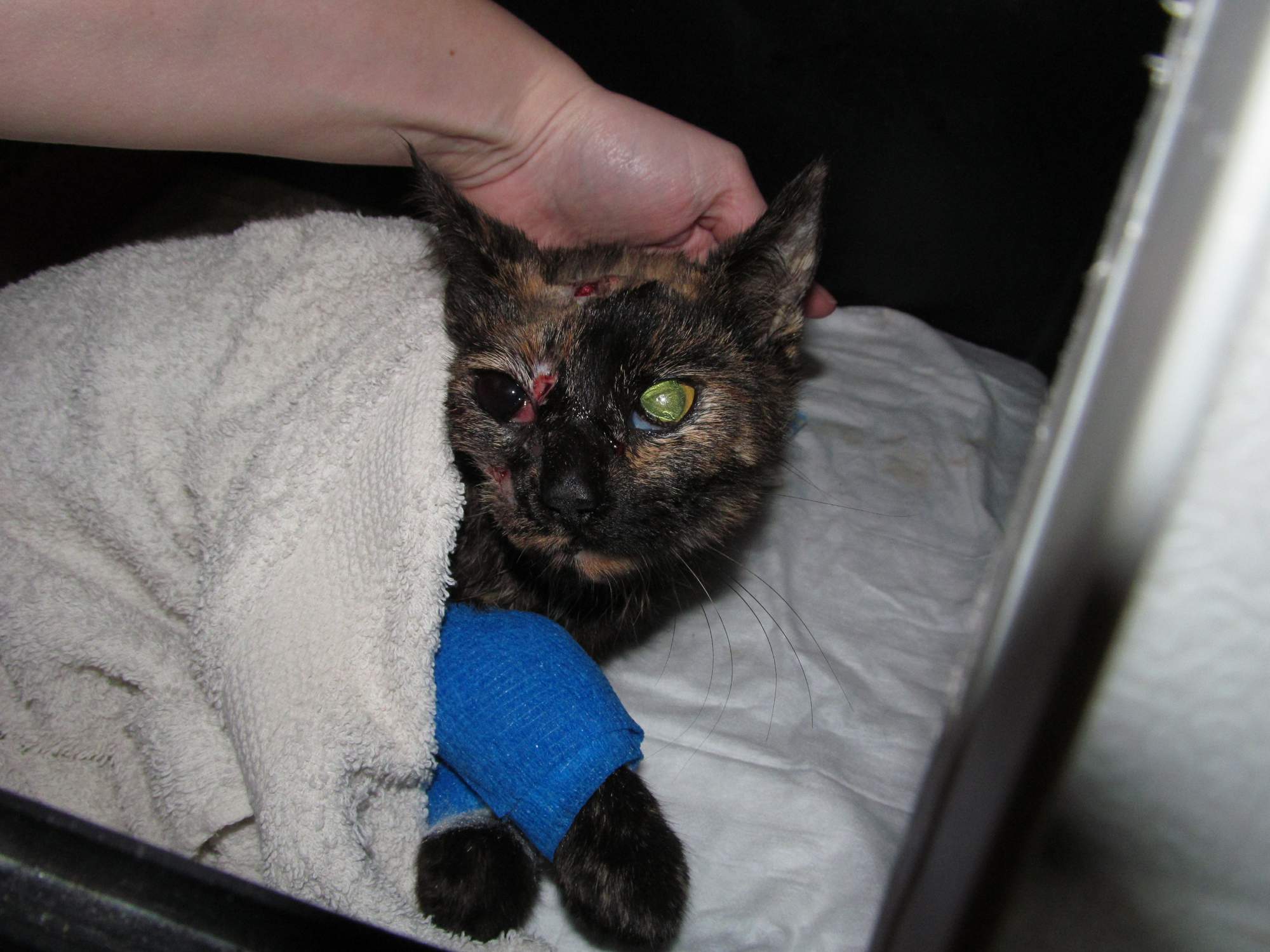 V tieni spravodlivosti - 1.diel