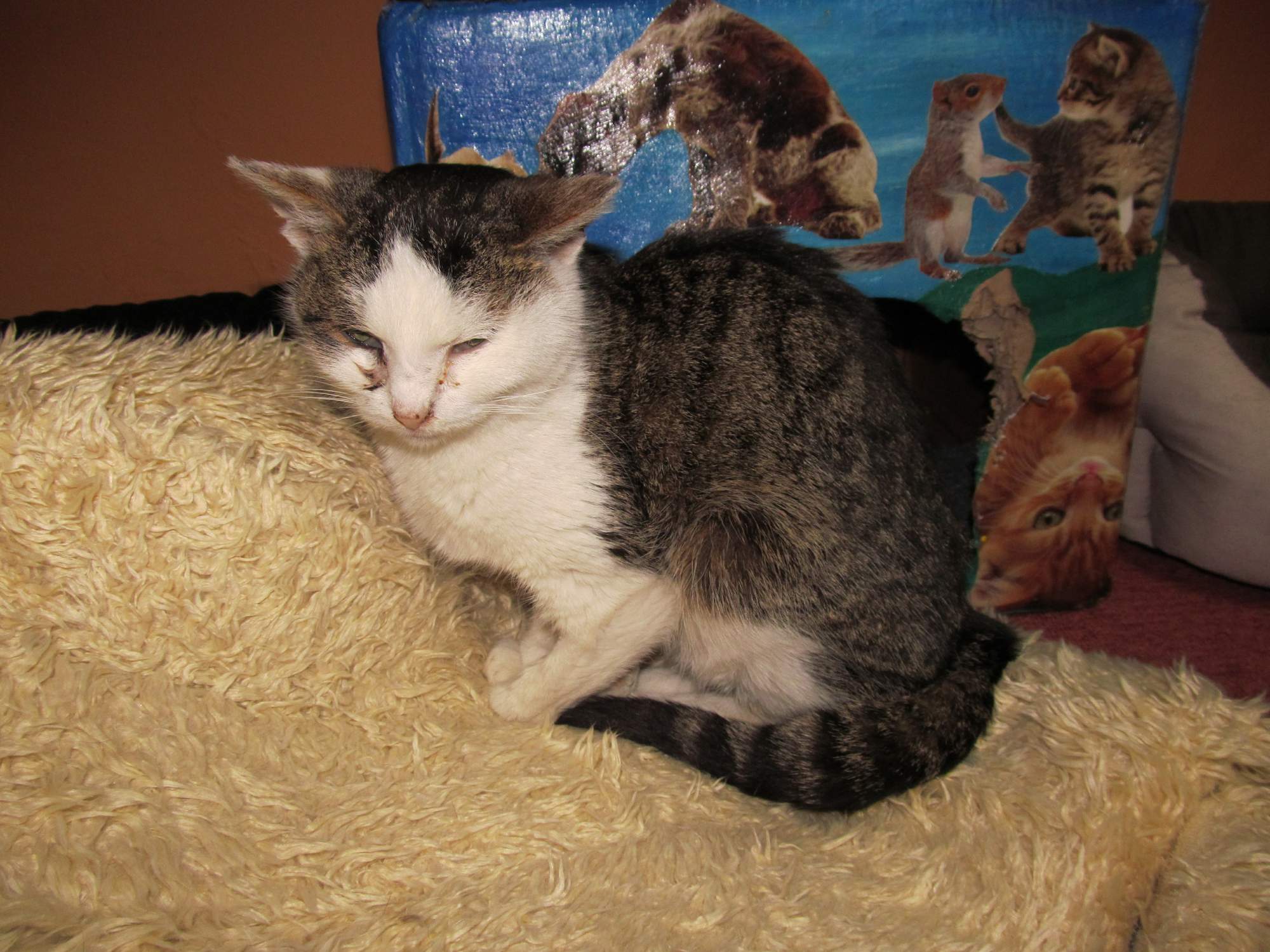 Rozlúčka s milovanou Ingrid