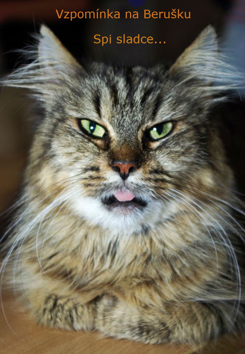 Rozlúčka s milovanou Lienkou