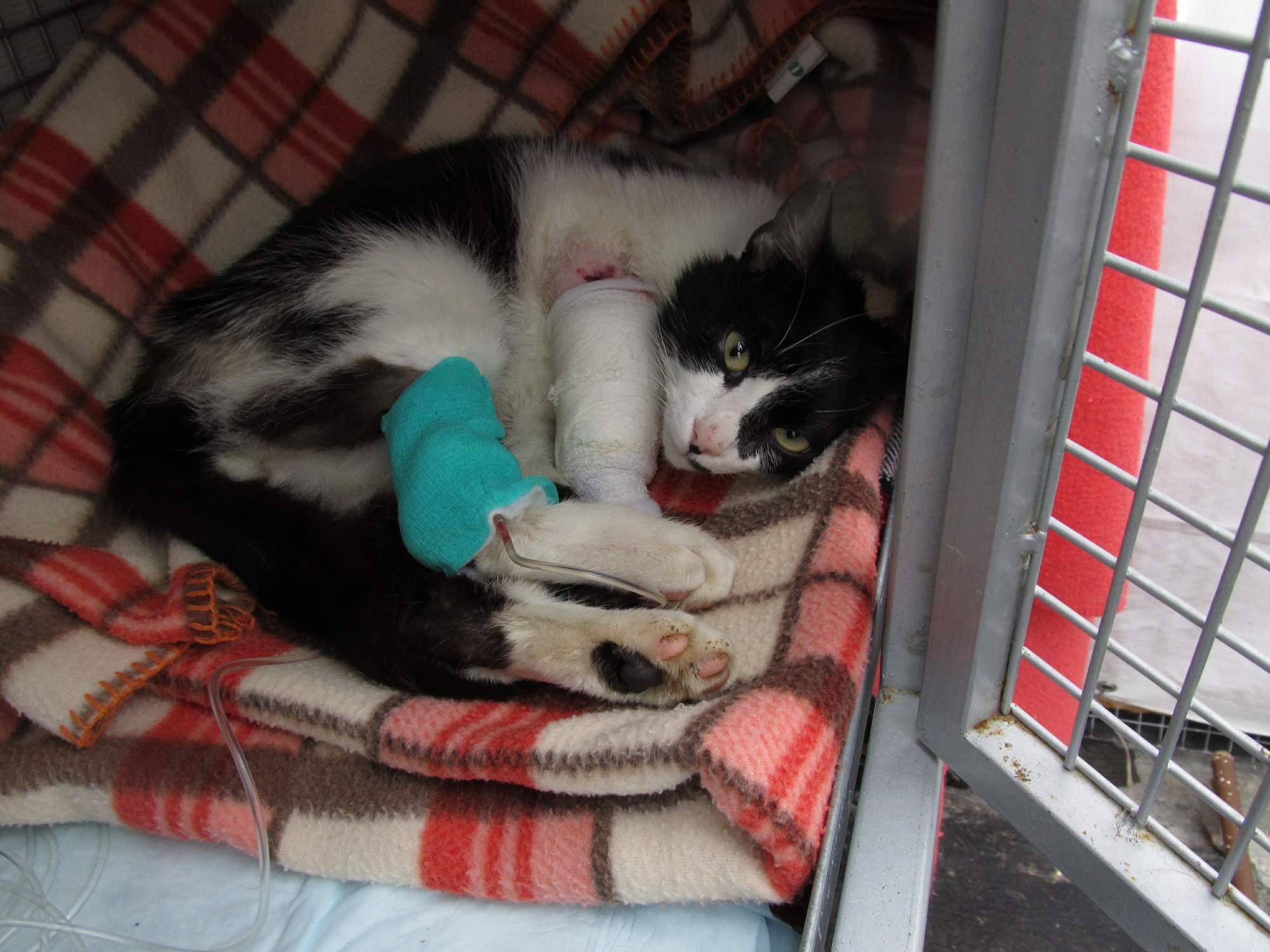 Rozlúčka s Ignáckem