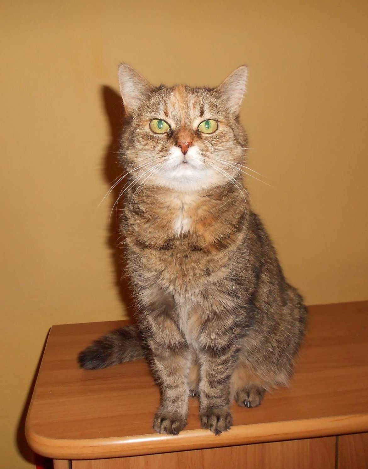 Lizinka a postvakcinačné sarkóm