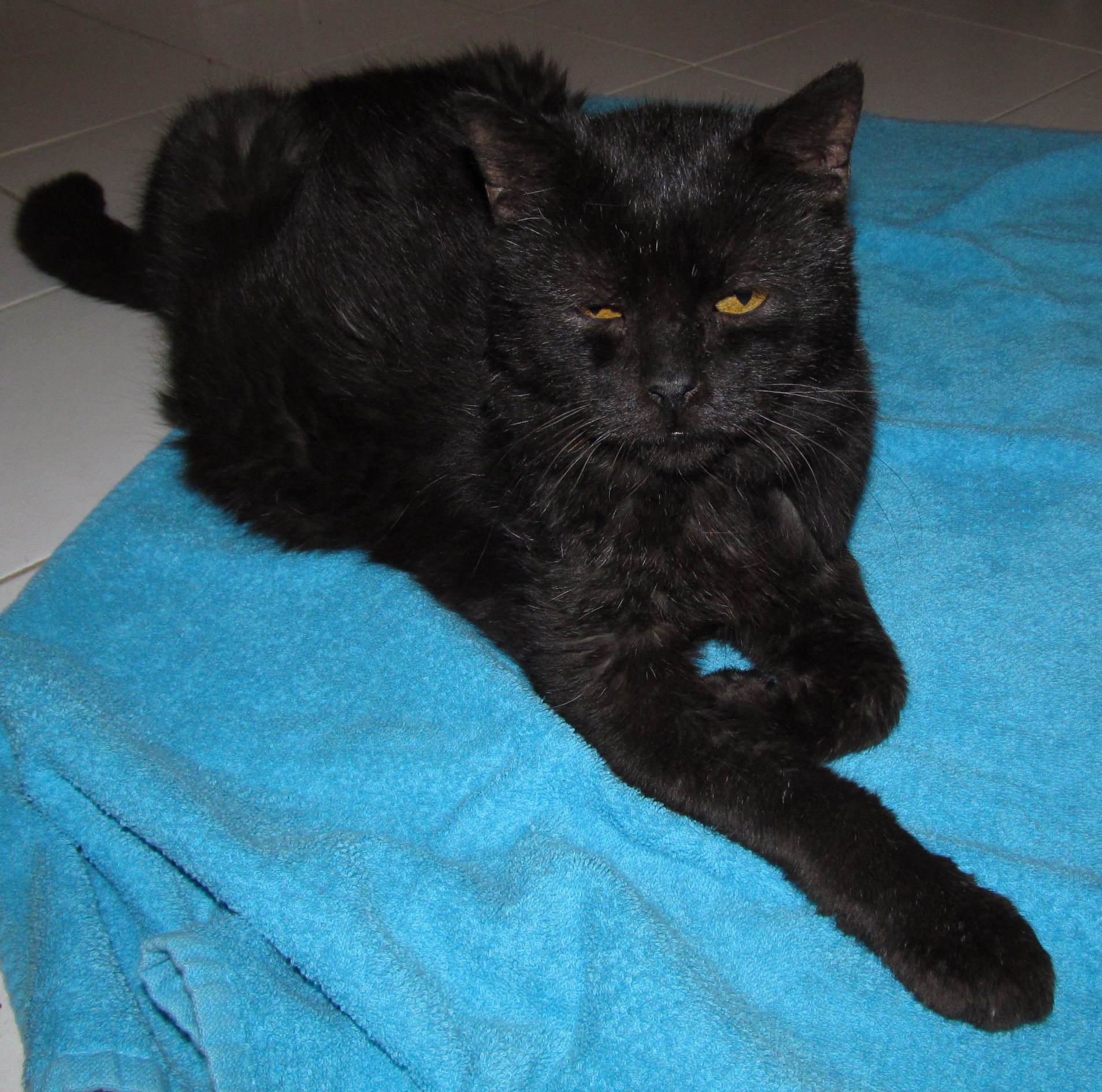 Z blahobytu až na samotné dno & # 8211; 1.diel