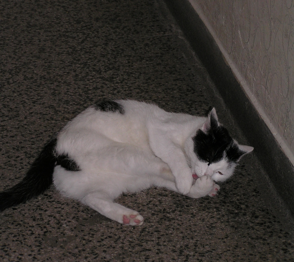 Nátlak, alebo nutkanie?