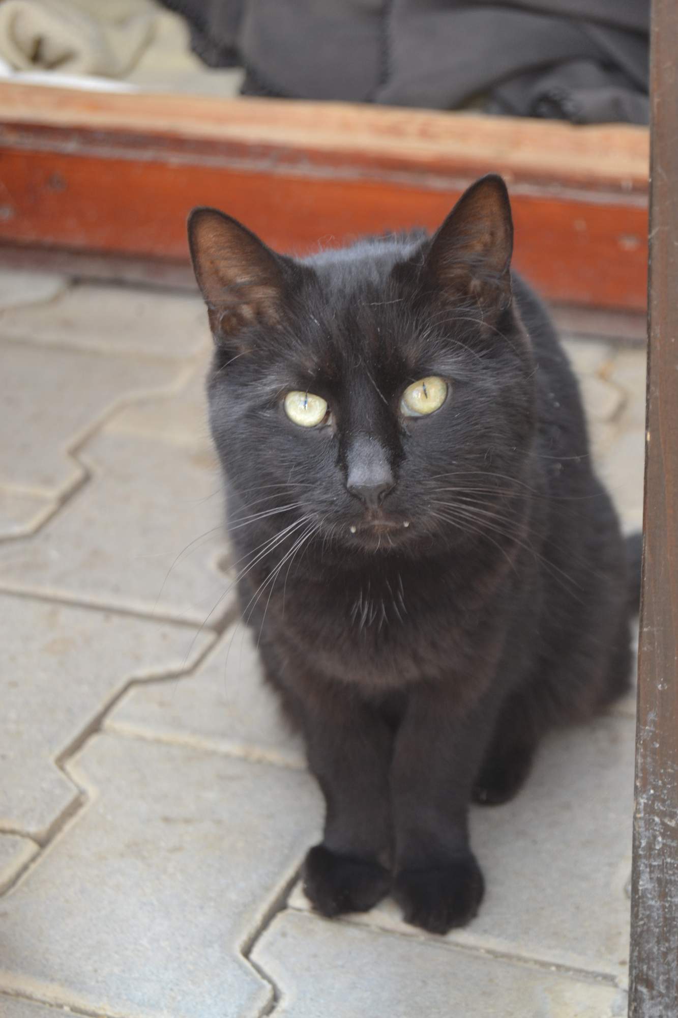 Posledná rozlúčka s milovaným Kennym