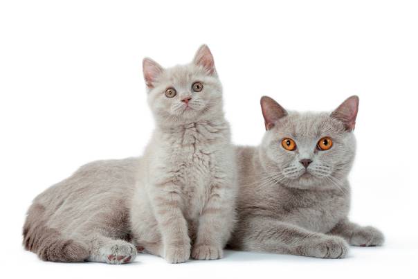 A zase tá výživa ...