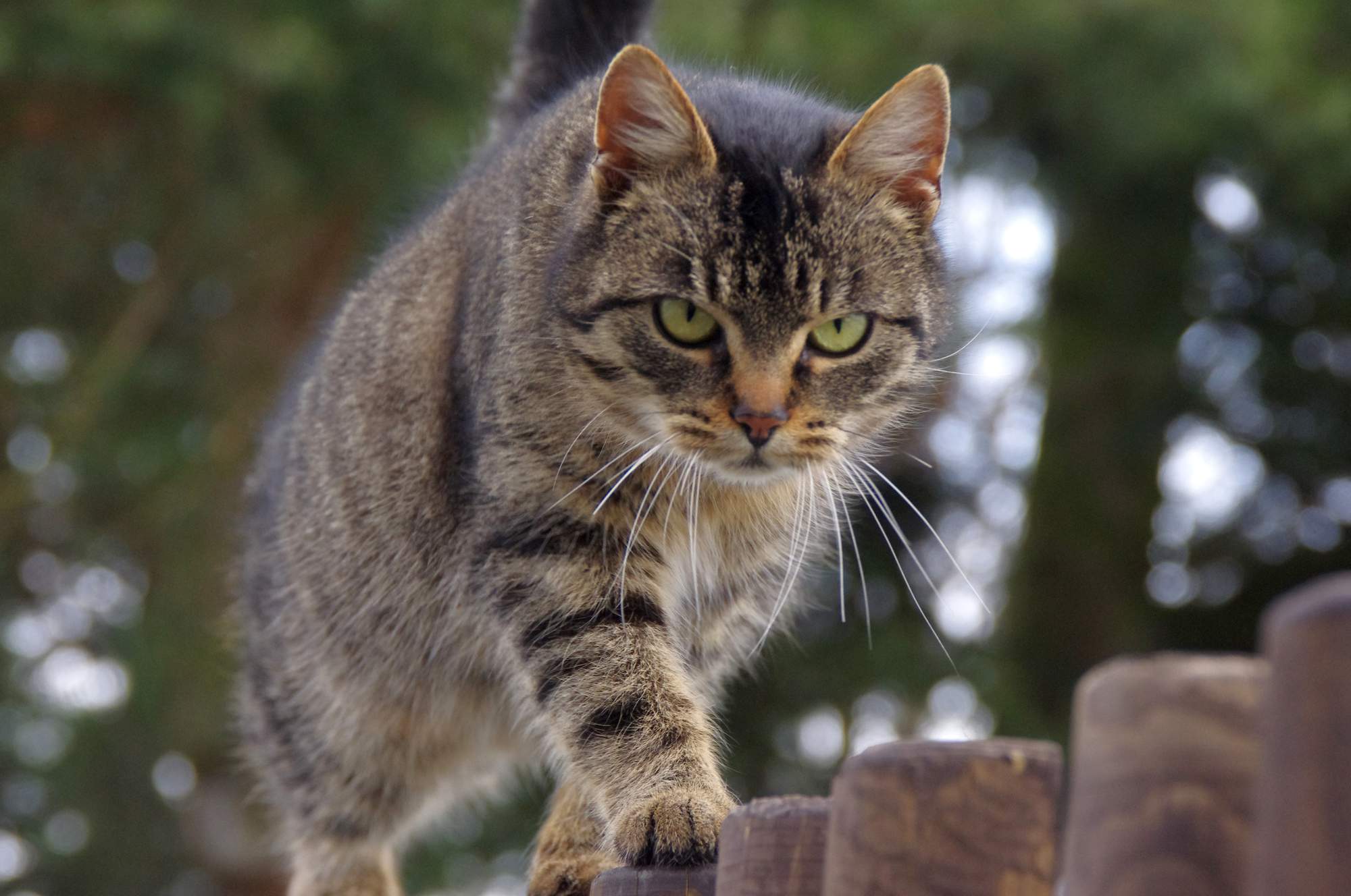 Zásady správnej starostlivosti o zuby