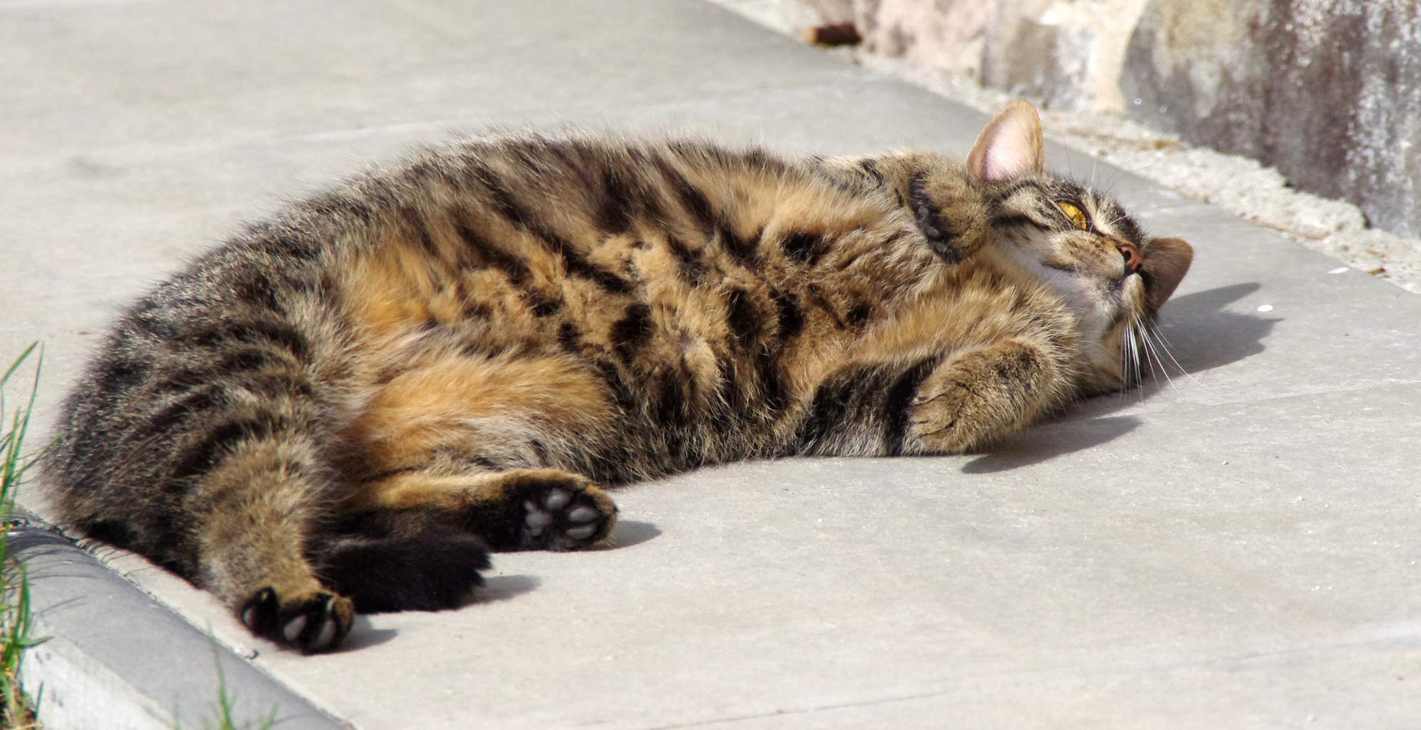 Ako najlepšie skladovať granule?