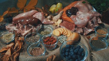 mačacie jedálniček