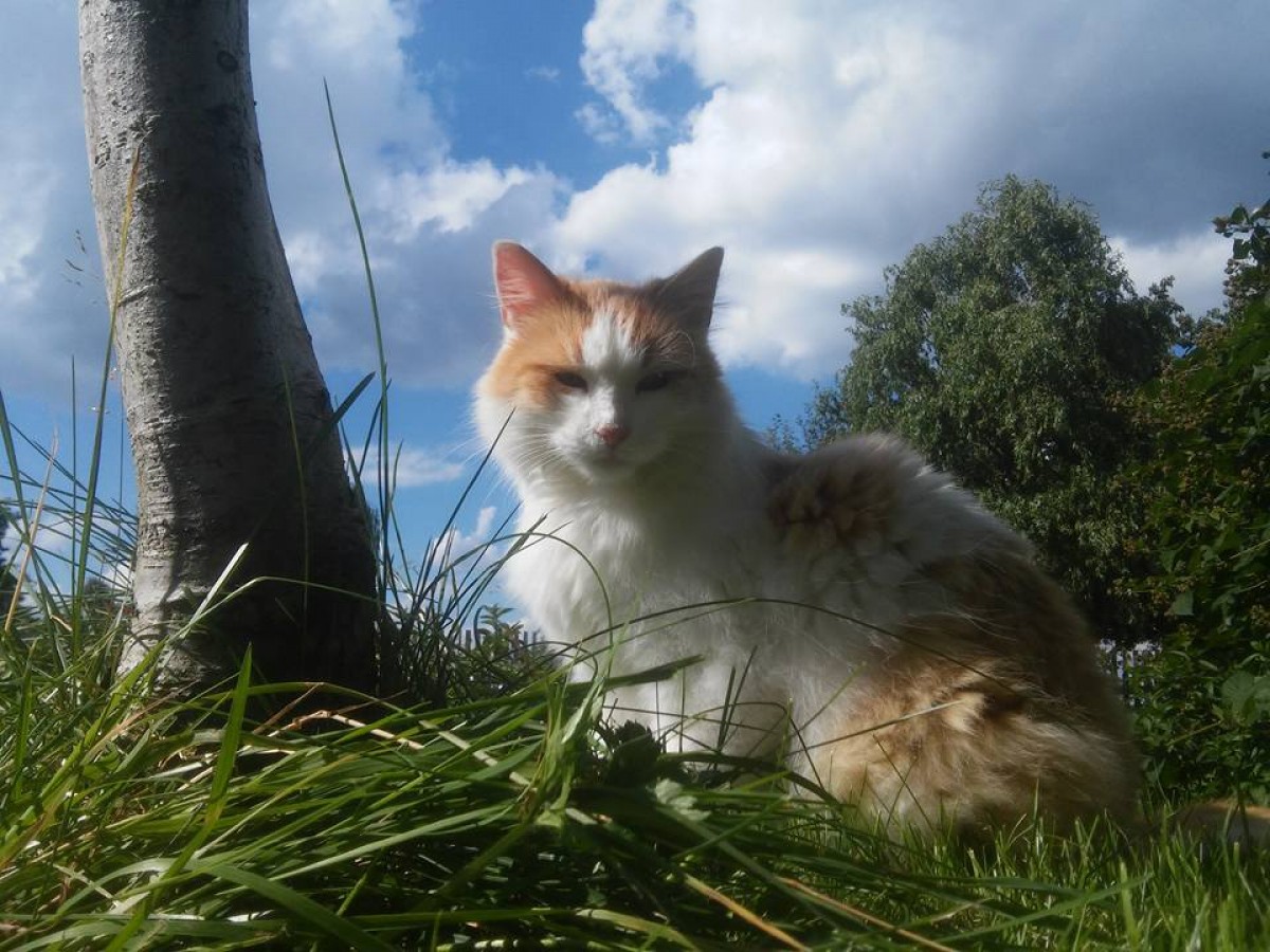 Nová fotosúťaž na tému: Všade dobre, vonku najlepšie!