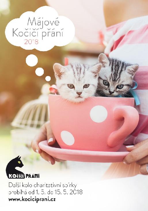 Májové mačacie priania práve prebieha