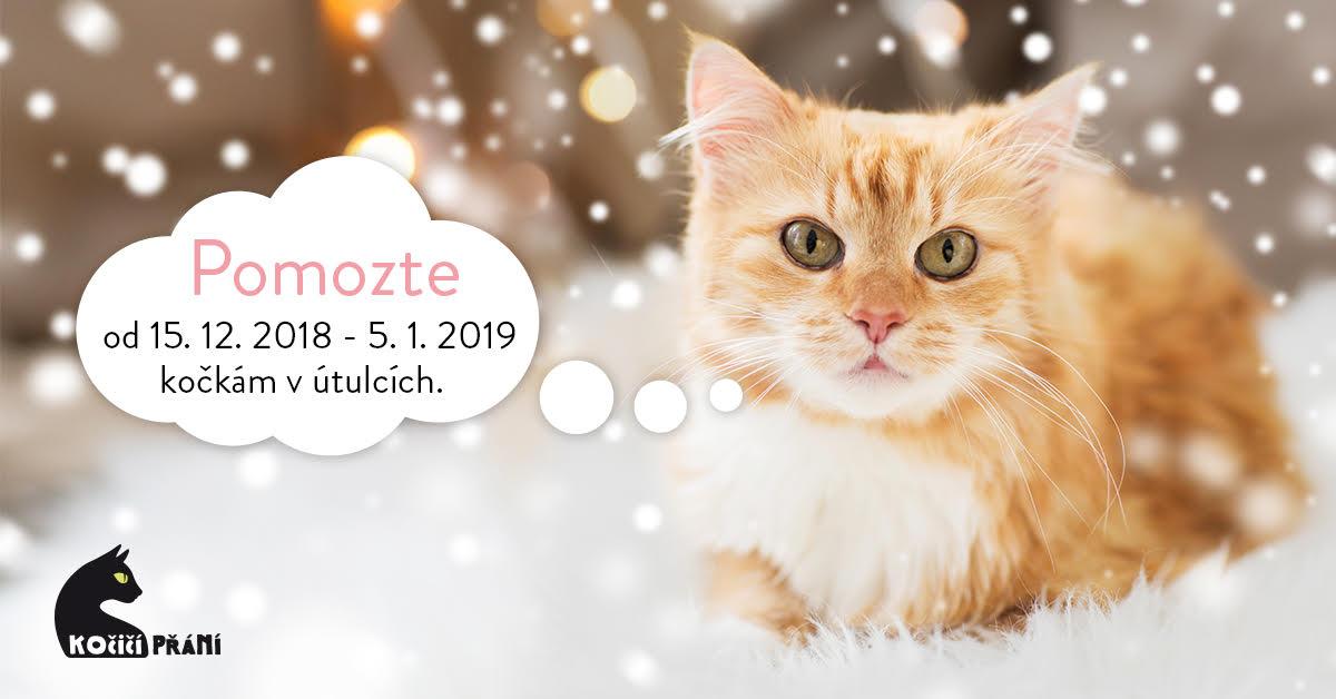 Mačacie želanie 2018