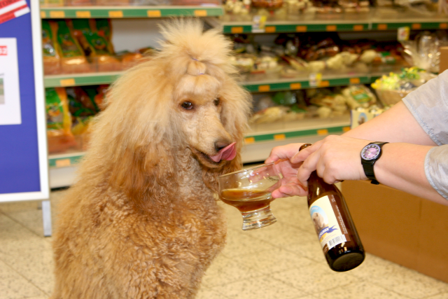 Pivo pre psov konečne aj v Čechách