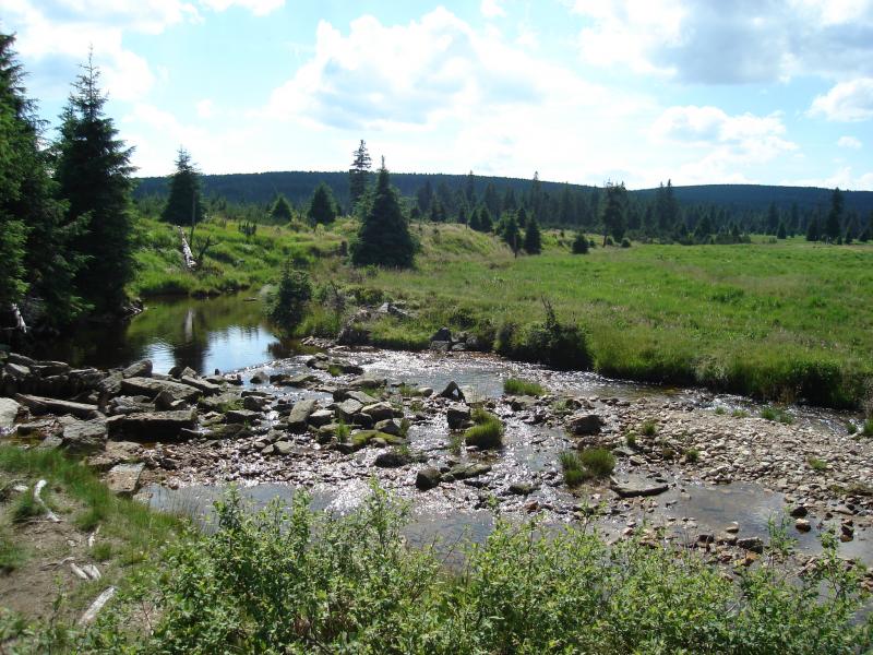 Druhé kolo súťaže o najkrajšie prechádzku so psom má svojho víťaza