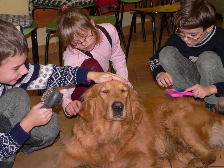 Svetový deň zvierat