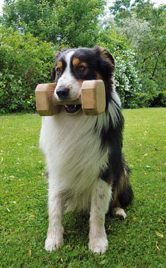 obedience