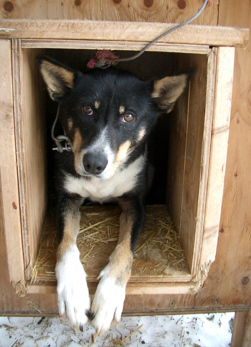 RÝZMBURSKÝ VOŘÍŠEK