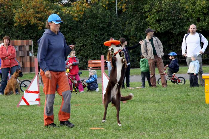 Milovníci zvierat oslávili Svetový deň zvierat