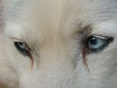 Vyslieďte si zľavu - pomocníka