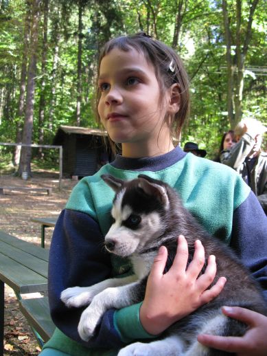 Škola zvieratiek pre deti