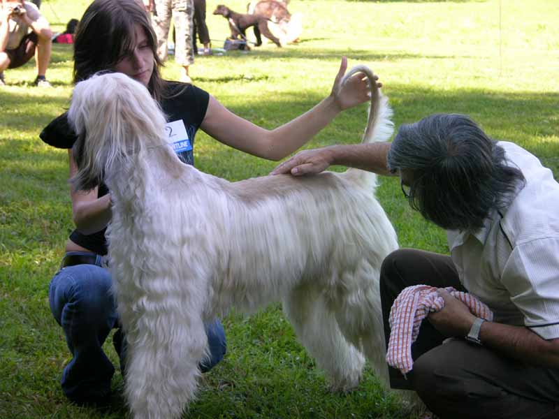 Pozvánka: Krása a Výkon 2012