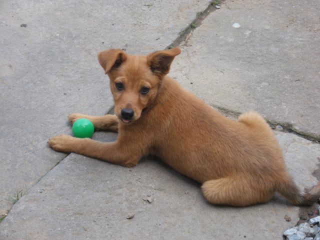 Pozvánka: 13. ročník akcie Rýzmburský oriešok