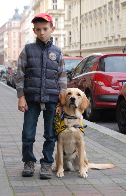 Asistenčný pes Roky pomáha