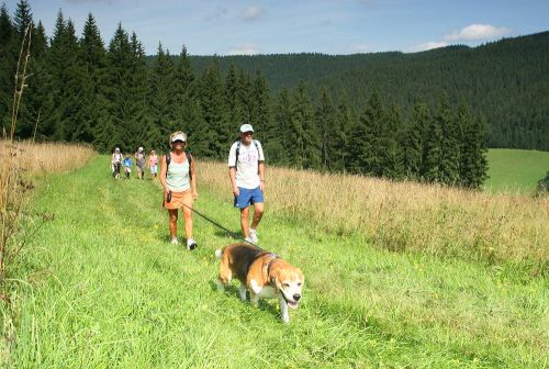 Pozvánka: Dogtrekking na Valašsku