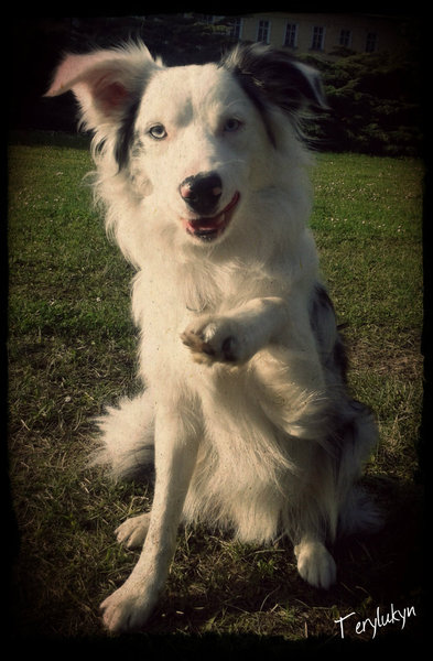 Veľká prázdninová fotosúťaž o 1000 cien