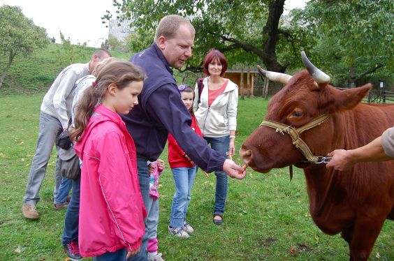 Oslávte Deň zvierat v Toulcově dvore