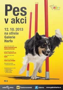 Pozvánka na poslednú chvíľu: Pes v akcii