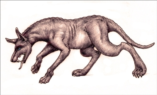 Existencia záhadného zvieraťa potvrdená