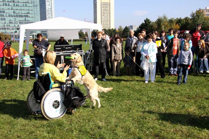 Svetový deň zvierat 2013 & # 8211; ako bolo?