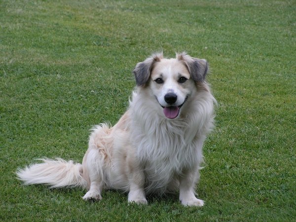 Vianočné zbierka - ďakujeme za vašu podporu