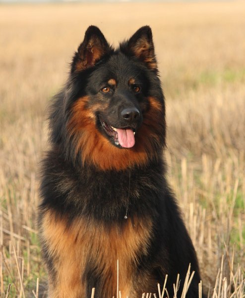 A zase to odčervovanie