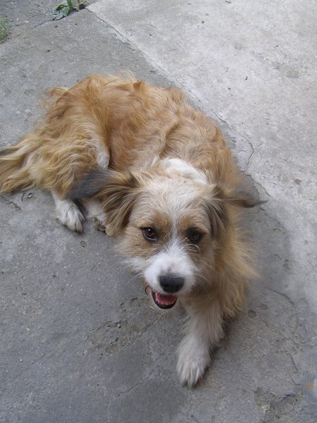 Pozvánka - Kladenský oriešok 2014