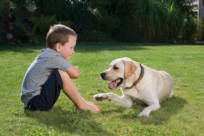 Aktivita kliešťov dosahuje vrchol